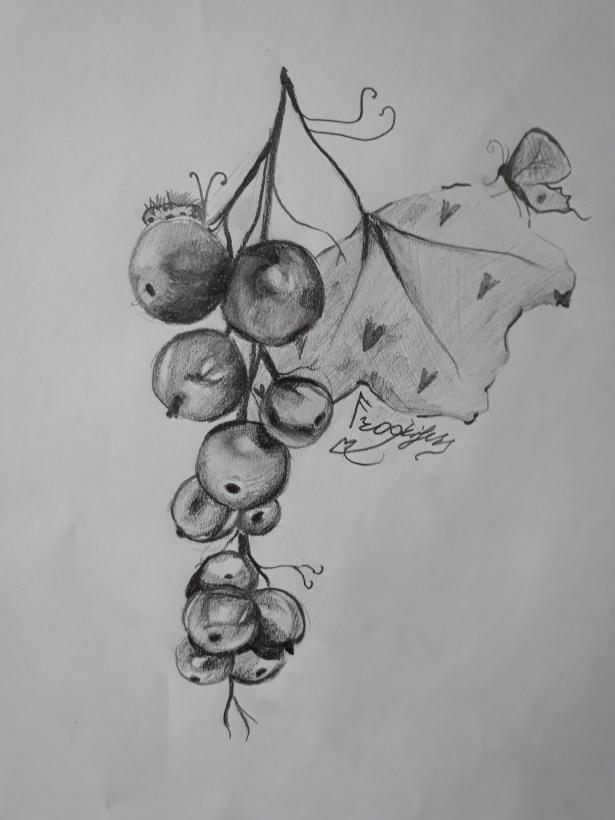 Фото FrogkillerMiray к уроку