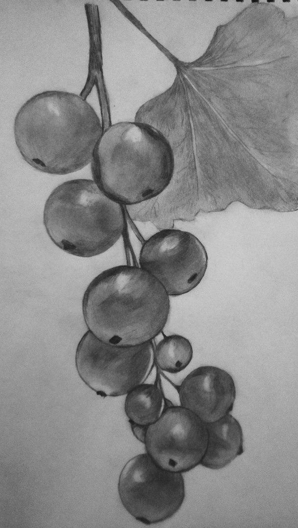 Фото nata222 к уроку