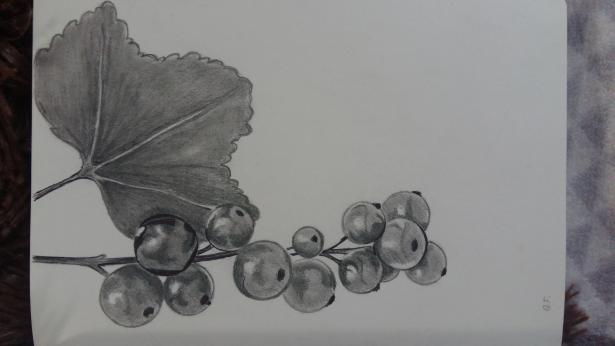 Фото linda1234 к уроку