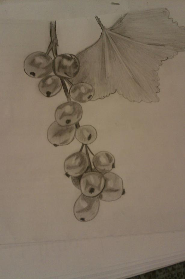 Фото sofisof к уроку