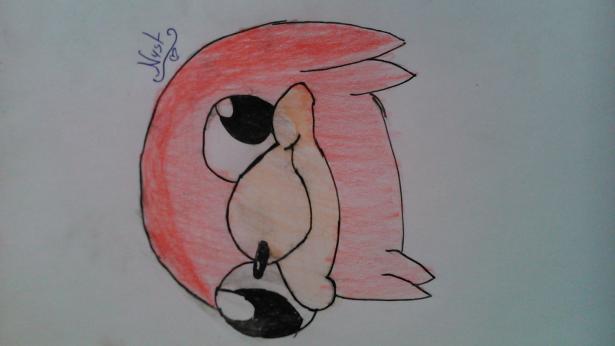 Фото N4st к уроку