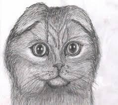 Фото HJlO к уроку