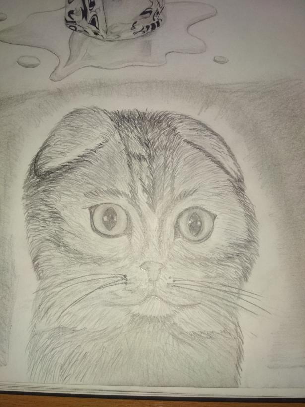 Фото jatacal к уроку